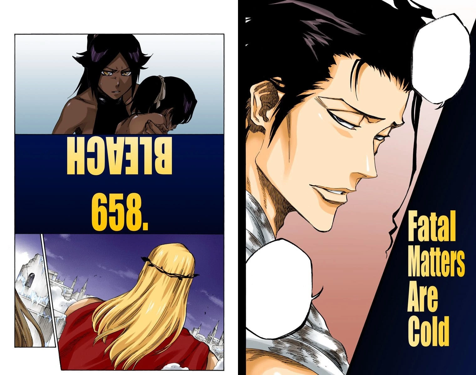 658 Fatal Matters Are Cold Bleach Wiki Fandom