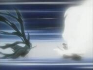 Byakuyavsichigo