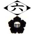 Sexta Division Insignia