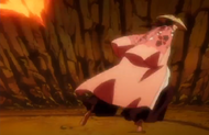 248Shunsui leaps