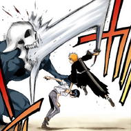 47Ichigo slashes