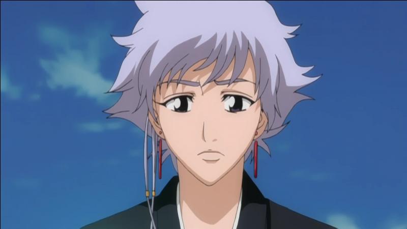 Isane Kotetsu Bleach Wiki Fandom