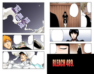 489Cover