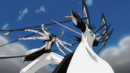 E202 Nnoitra Kenpachi fight
