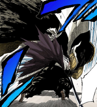 145Kenpachi flips