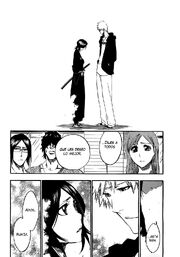Bleach 423