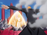 166Ichigo protects
