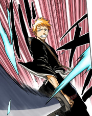 45Ichigo slashes