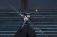 245Sui-Feng slashes