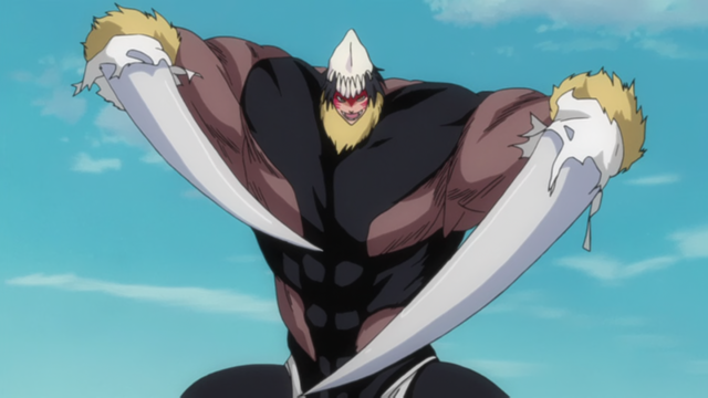 Image - Ep223TigreEstoqueElSable2.png | Bleach Wiki | FANDOM powered by ...