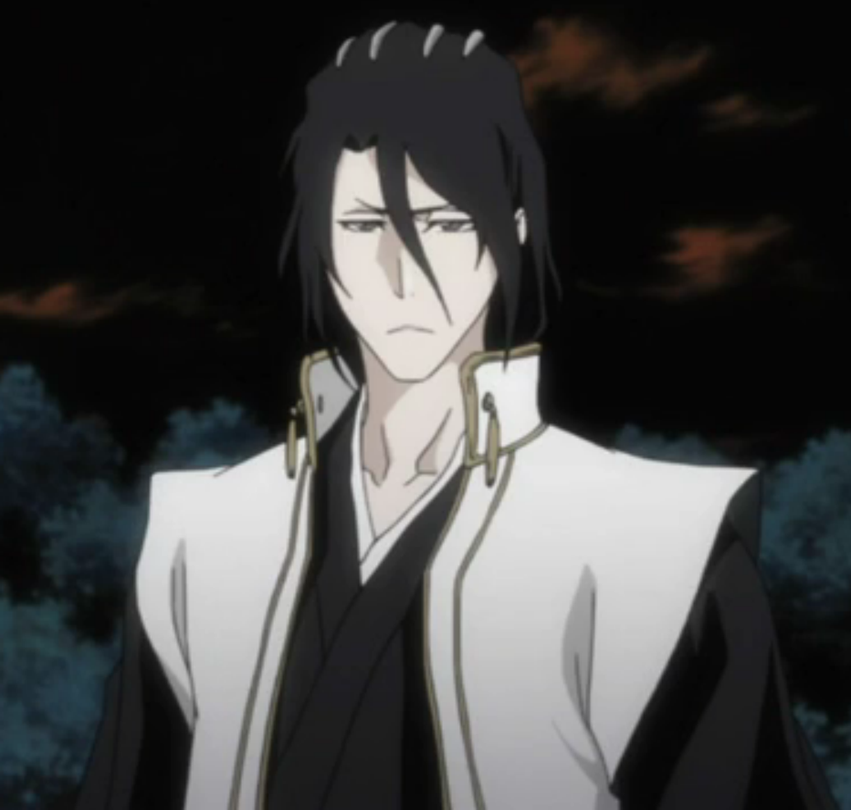 Byakuya Kuchiki Bleach Wiki FANDOM Powered By Wikia