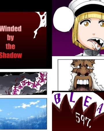 597 Winded By The Shadow Bleach Wiki Fandom