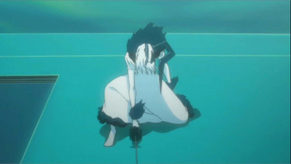 Imagen - Hollow Ichigo fusionado con Tensa Zangetsu.jpg ...