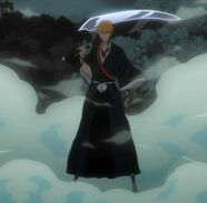 Nouveau Shikai
