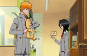 Ep317IchigoKonsPill