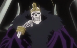 Baraggan Louisenbairn Bleach Wiki Fandom Powered By Wikia