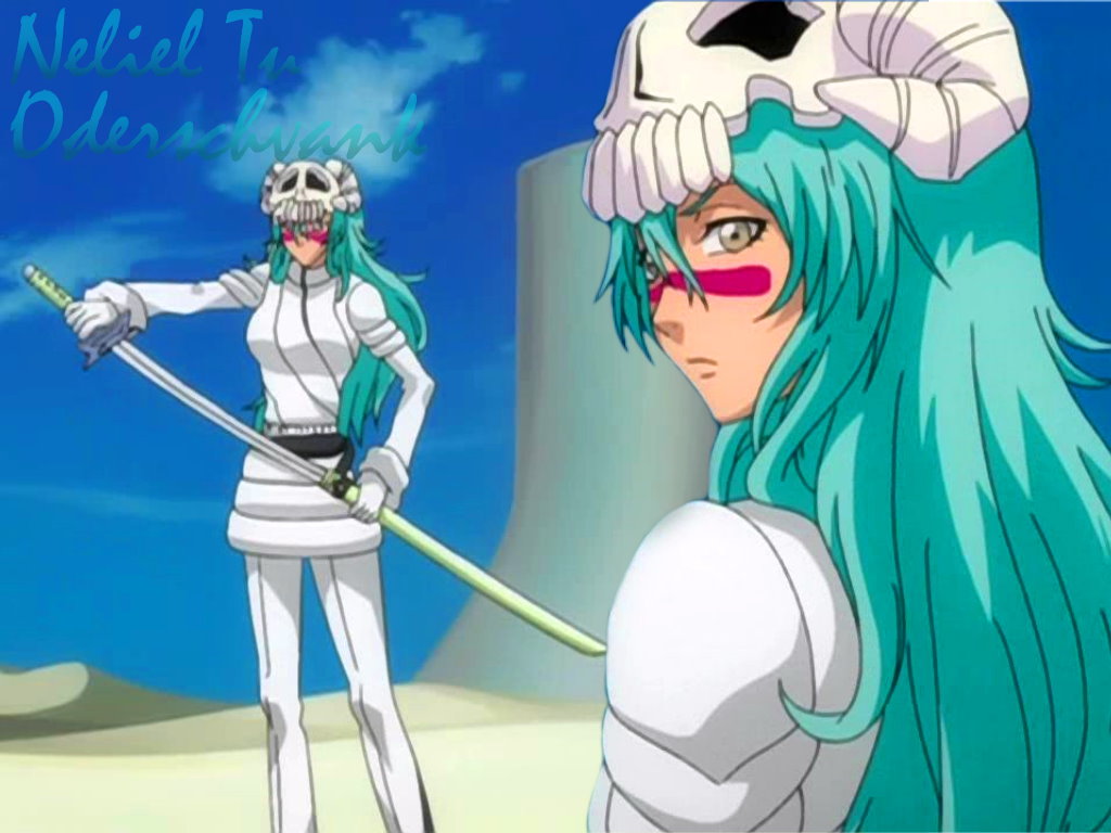 Imagen Neliel666683.jpeg Bleach Wiki FANDOM powered by Wikia