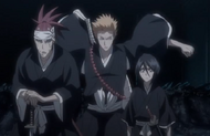 Shinigami and Zanpakutō, Total Sortie | Bleach Wiki | FANDOM powered by ...