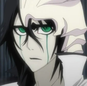 Ulquiorra Cifer Bleach Wiki Fandom