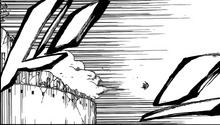 619 Yoruichi es enviada por los aires