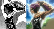 Censure de Yoruichi