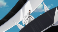 293Aizen is attacked