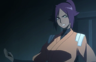 Ep319YoruichiRevealsPlan