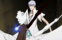 307Aizen slashes
