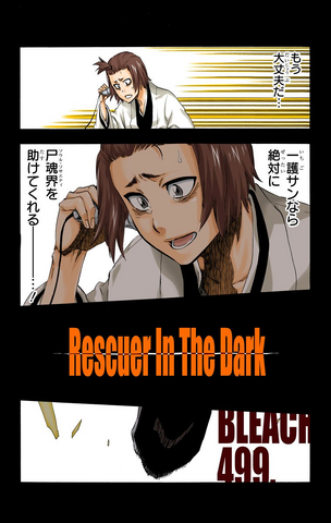 File:499Cover.png