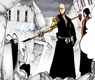 Ikkaku Madarame Bleach Wiki Fandom Powered By Wikia