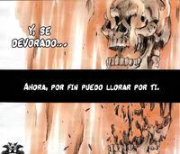 Driscoll incinerado
