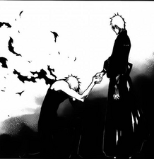 Ichigo sgsm 4