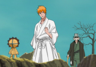 Kon pep talks Ichigo