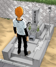 19Ichigo visits
