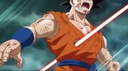Goku shot