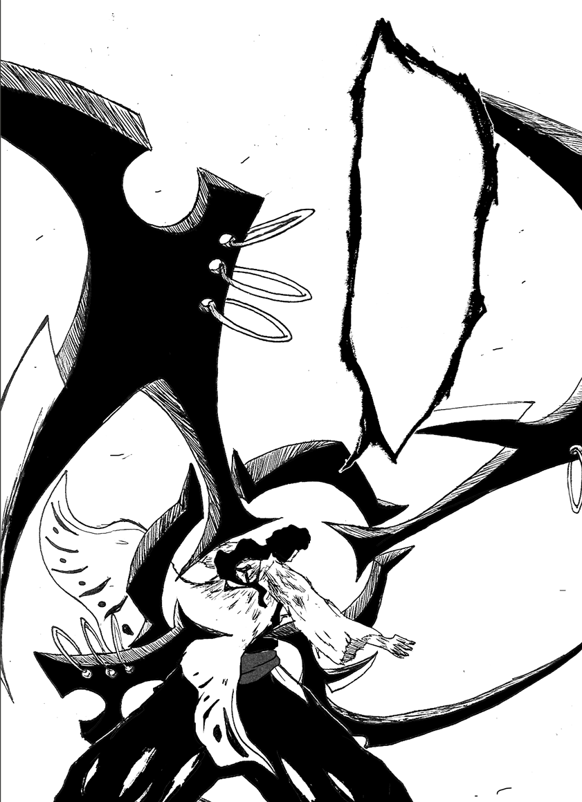 Image - BANKAI SECOND FORM.png | Bleach Fan Fiction Wiki | FANDOM ...