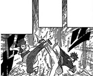 Kid Raian trains with Mashu