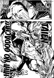 12 Division member Shikai