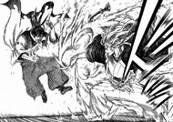 Sei fights Raian