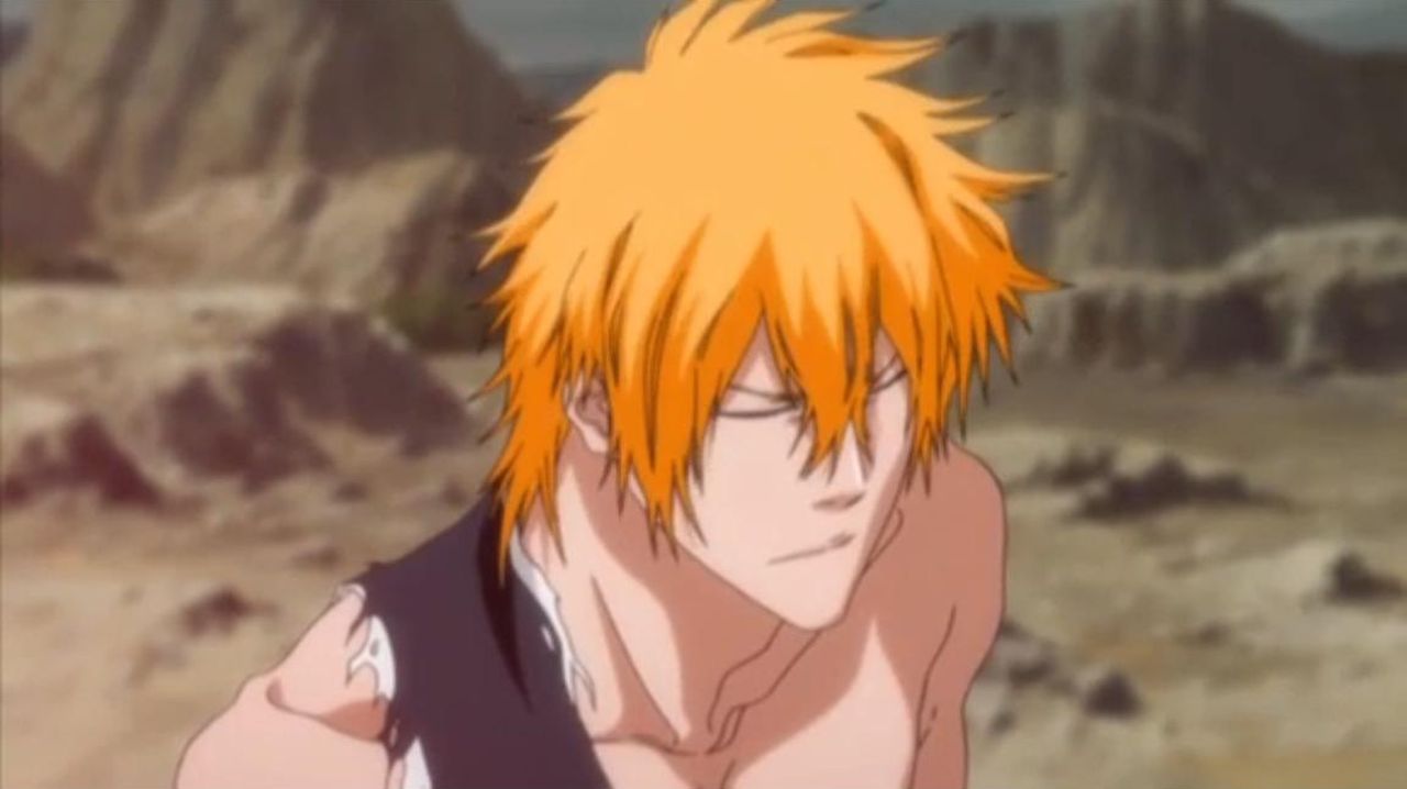 Ichigo Kurosaki Seireitou Kakinaosa Universe Bleach Fan
