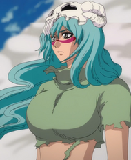 192Nelliel transforms
