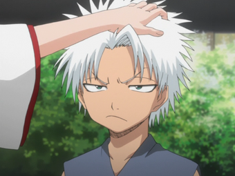 https://vignette.wikia.nocookie.net/bleachpedia/images/a/aa/Ep46YoungHitsugaya.png/revision/latest/scale-to-width-down/340?cb=20180219142502&amp;path-prefix=ru