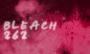 290px-Bleach 262 anime title