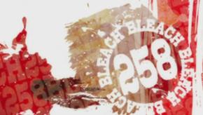 290px-Bleach 258 anime title