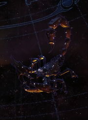 Anjuzanpu scorpio1