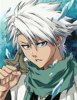 Tōshirō Hitsugaya (Kenji Hiroshi) | Bleach Untold Stories Wiki | FANDOM ...