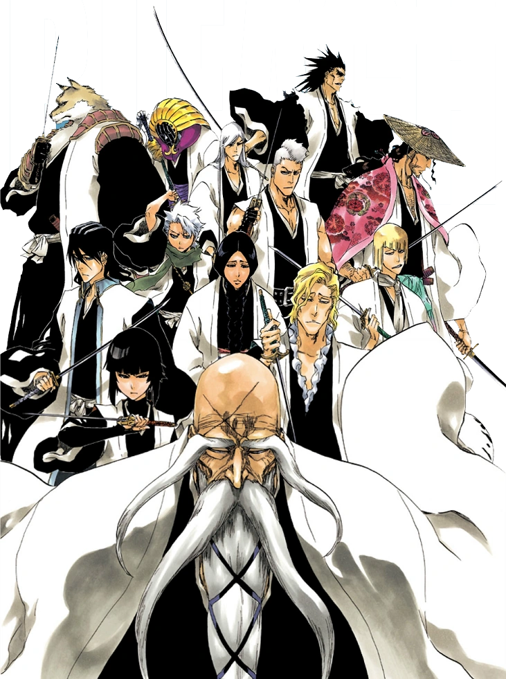Gotei 13 BleachWiki FANDOM powered by Wikia