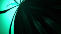 Cero oscura