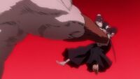 Bleach - 225 - Large 12