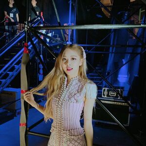 10 Fun Facts About Blackpink S Rose Sbs Popasia